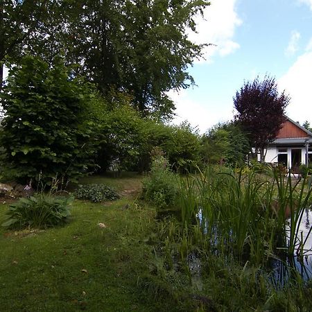 Ferienhaus Wildblick 施莱登 外观 照片