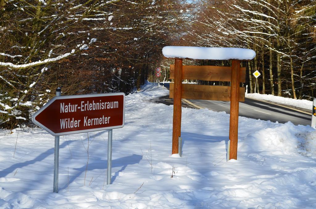 Ferienhaus Wildblick 施莱登 外观 照片